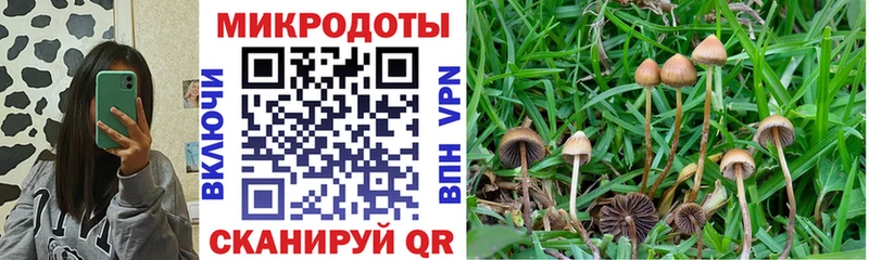 МЕГА вход Киселёвск Галлюциногенные грибы GOLDEN TEACHER